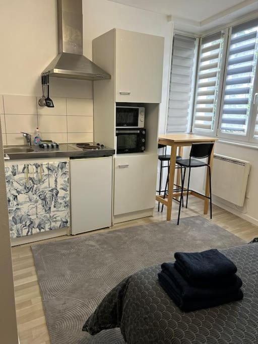 Studio Proche Du Centre-Ville Strasburg Zewnętrze zdjęcie