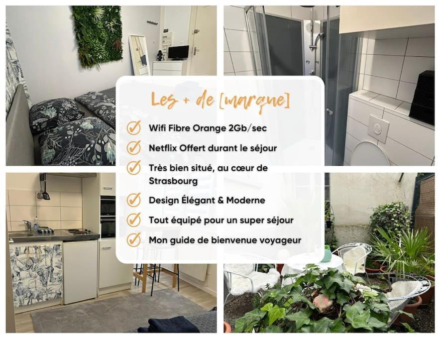 Studio Proche Du Centre-Ville Strasburg Zewnętrze zdjęcie